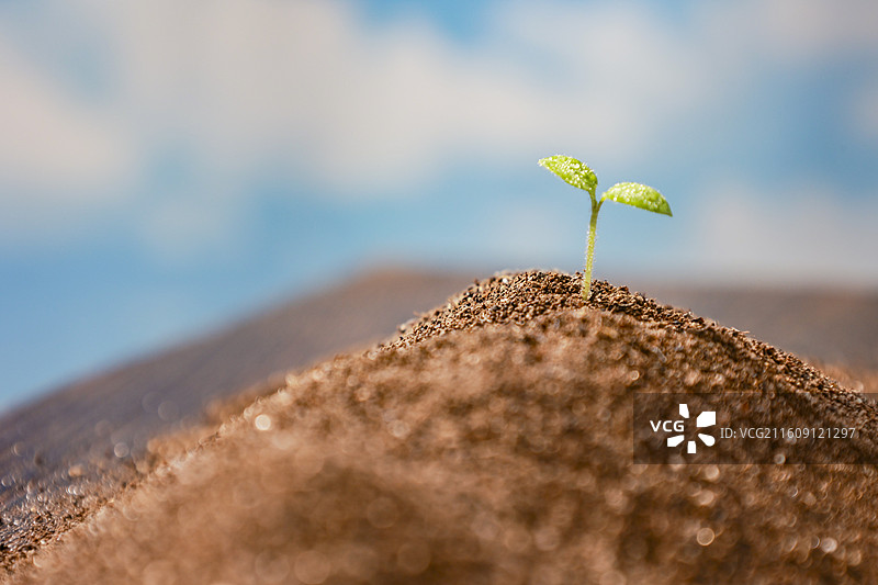 春天从土壤中长出的种子绿芽嫩芽破土生长图片素材