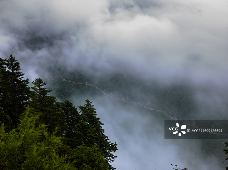 四川宝兴夹金山景区云雾缭绕之美图片素材