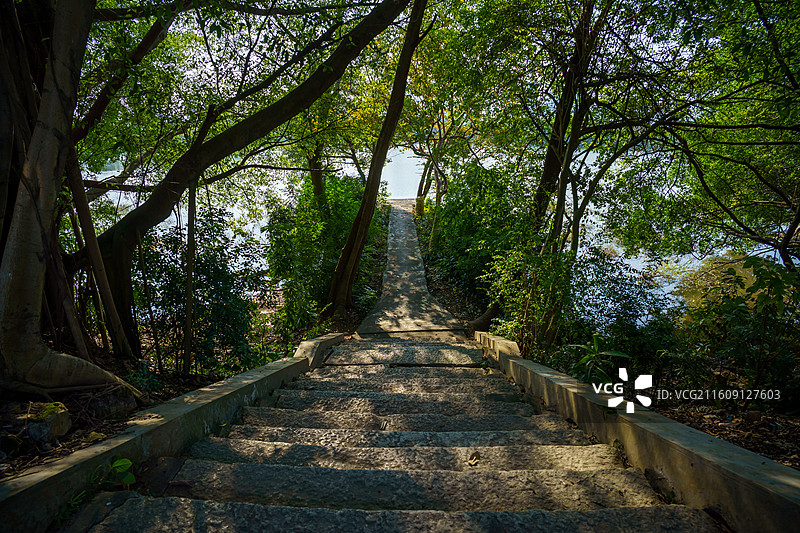 肇庆市鼎湖新区周边水乡景色，河埠头特写图片素材