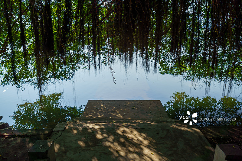 肇庆市鼎湖新区周边水乡景色，河埠头特写图片素材