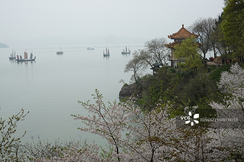 江苏省无锡市太湖鼋头渚樱花季：飞云阁阆风亭和太湖帆船图片素材