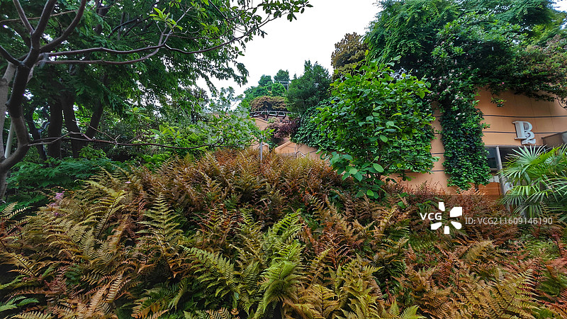 日本大阪难波公园是集购物、办公于一体的综合体，外观如斜坡公园，绿植丰富，设计独特图片素材