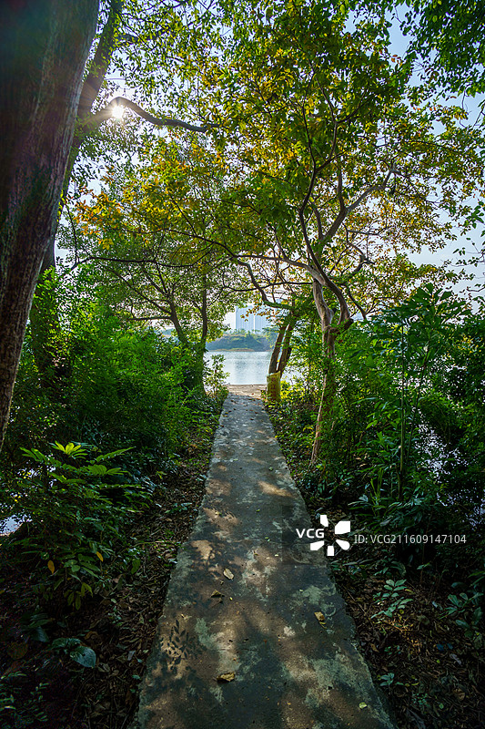 肇庆市鼎湖新区周边水乡景色，河埠头特写图片素材