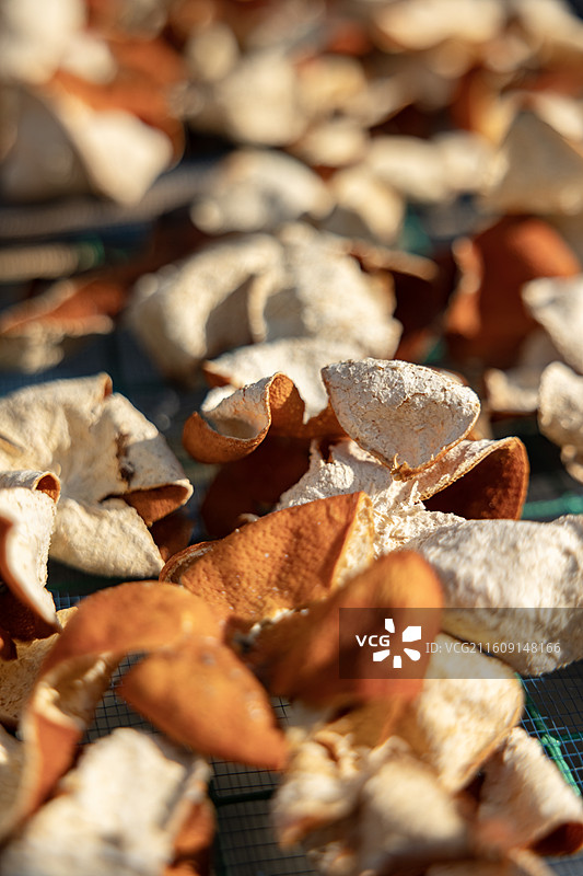 陈皮红橘餐图片素材