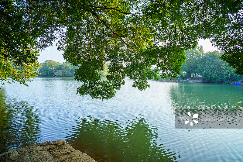 肇庆市鼎湖新区周边水乡景色，河埠头特写图片素材