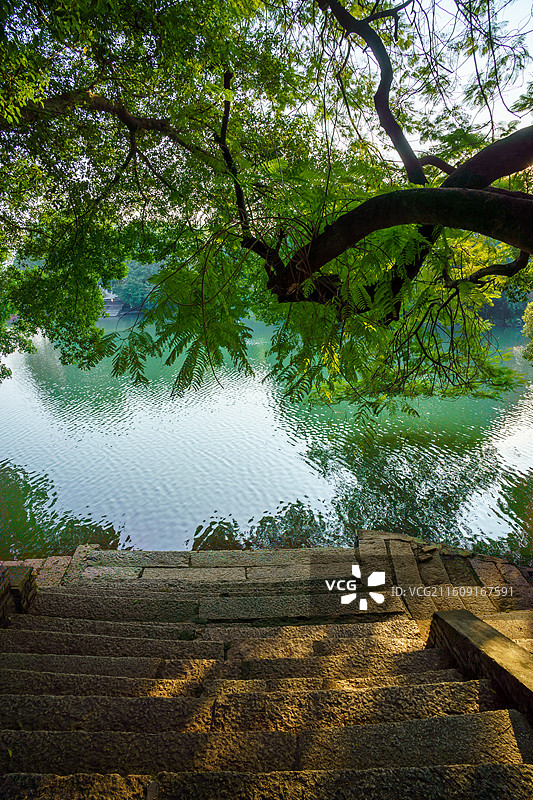 肇庆市鼎湖新区周边水乡景色，河埠头特写图片素材