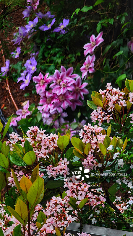 日本大阪难波公园是集购物、办公于一体的综合体，外观如斜坡公园，绿植丰富，设计独特图片素材