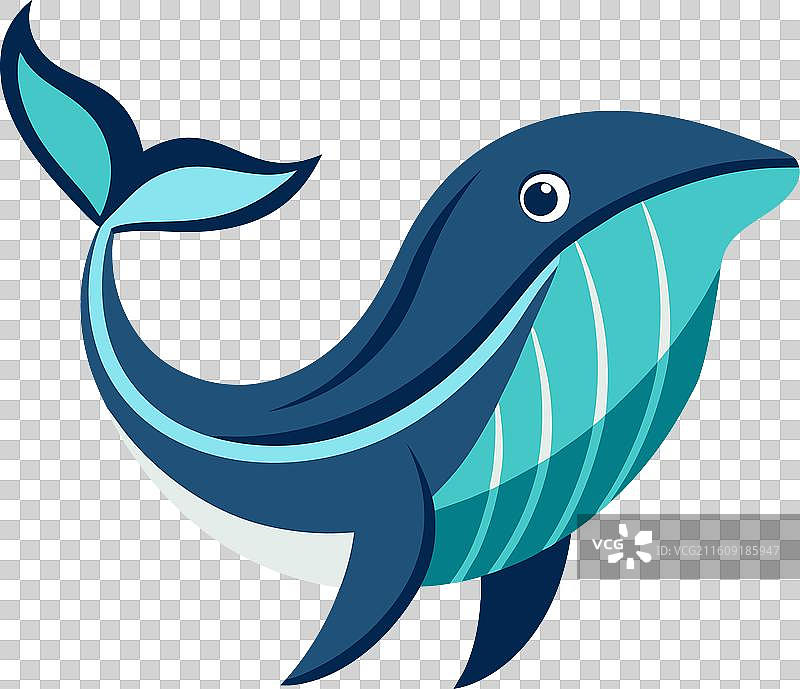 小须鲸鱼萌萌哒图片素材