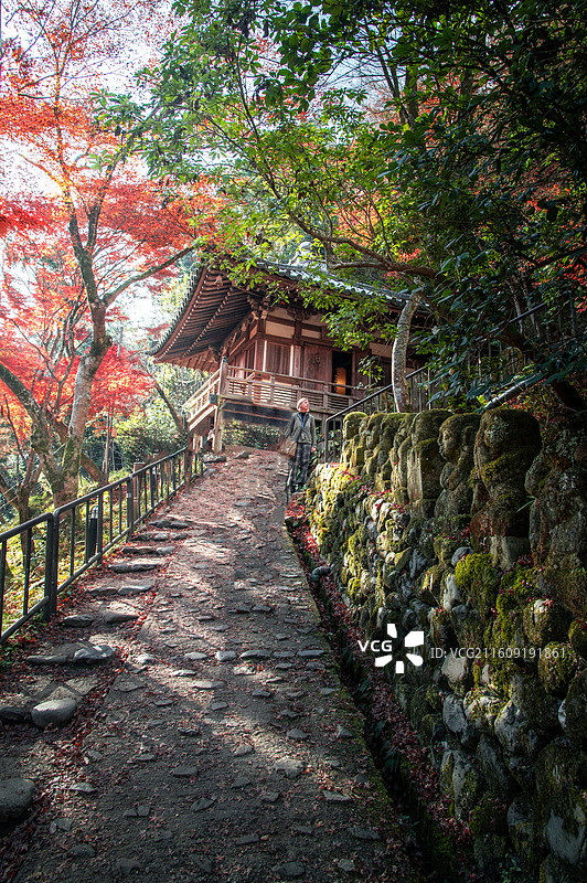 爱宕念佛寺光影图片素材