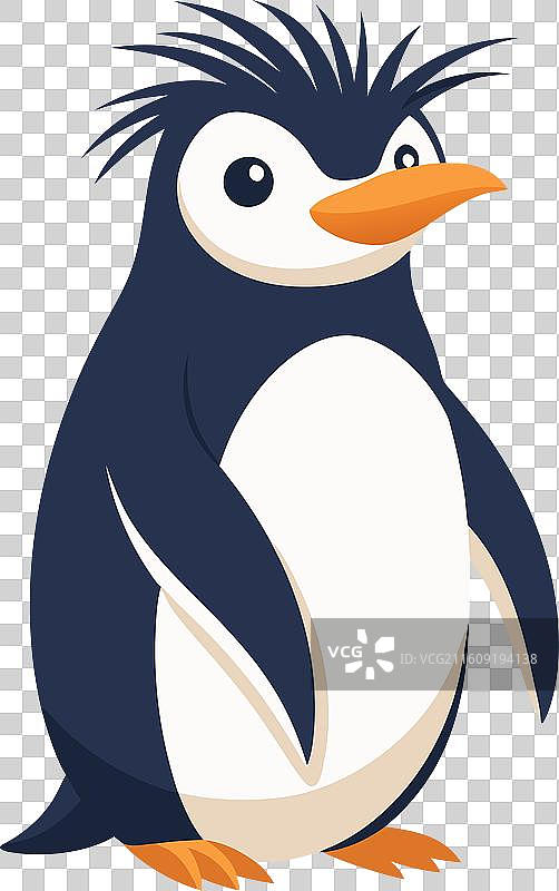 可爱的峡湾冠企鹅图片素材