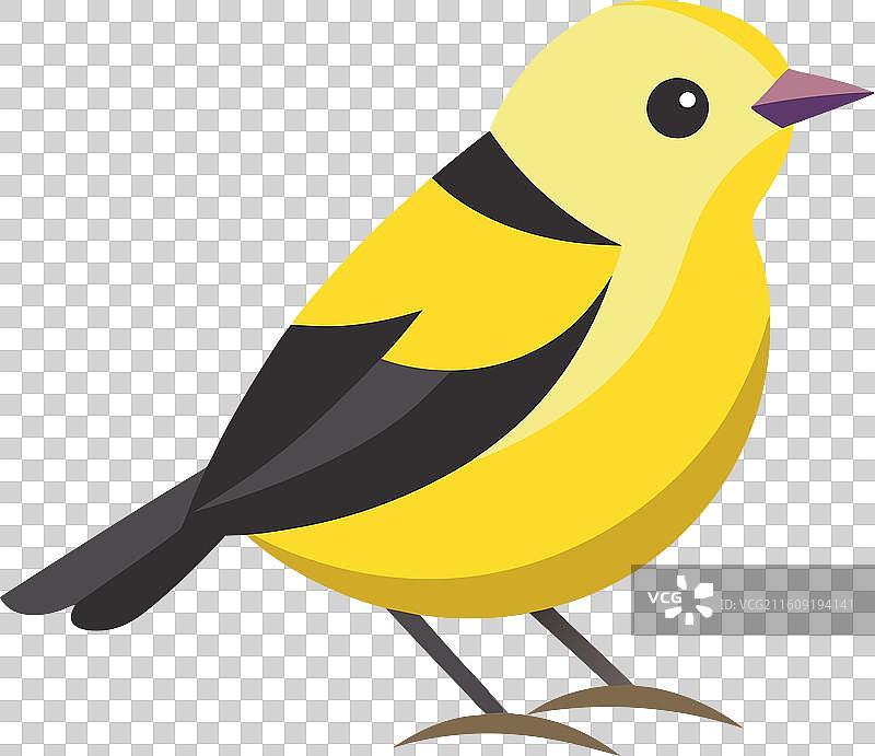 峡湾冠企鹅卖萌图片素材