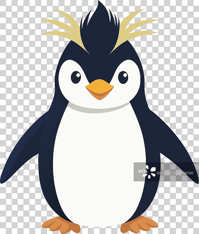 菲奥德兰冠企鹅的可爱笑脸图片素材