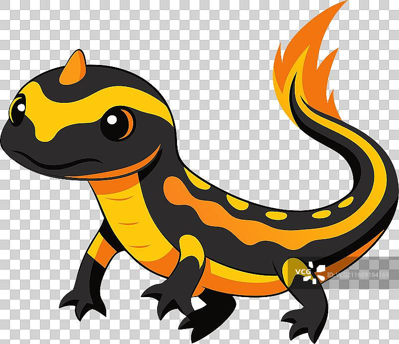 火蝾螈蜥蜴可爱地行走图片素材