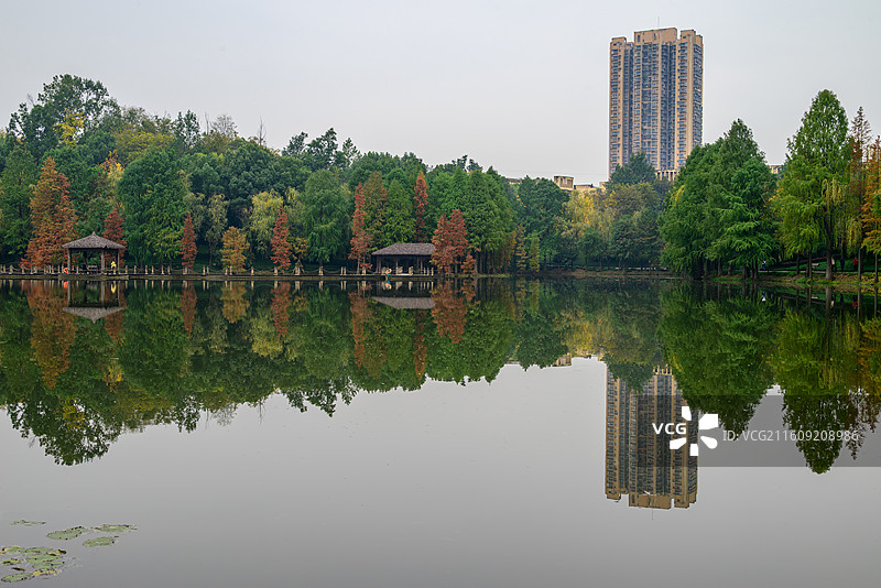 观音塘湿地公园冬日图片素材