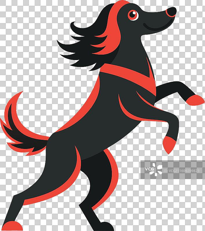 跳舞的卡瓦伊平毛寻回犬图片素材