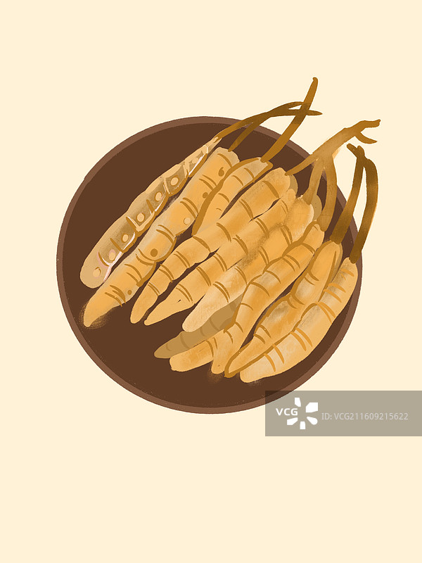 中药冬虫夏草图片素材