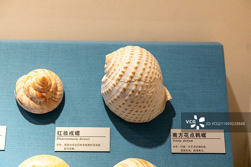 常州博物馆图片素材