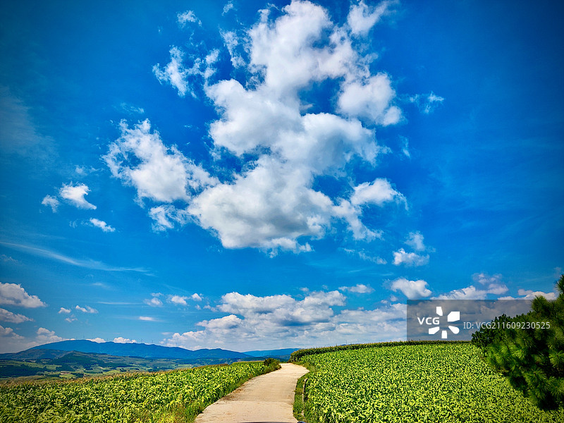 大美贵州，多彩威宁县迤那镇田园风光图片素材