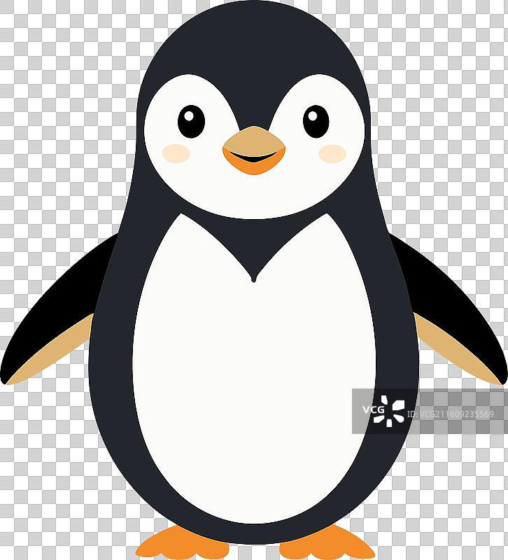 可爱的食蜜鸟图片素材