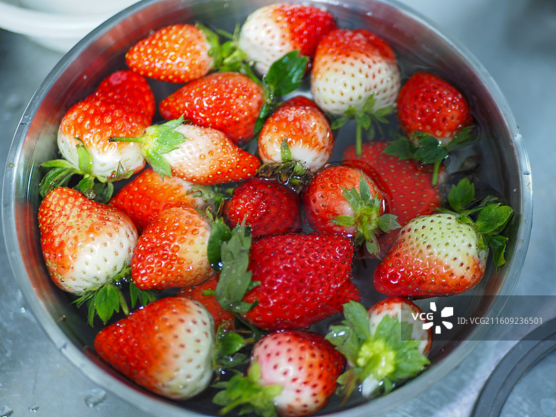 盆中清洗的新鲜草莓图片素材