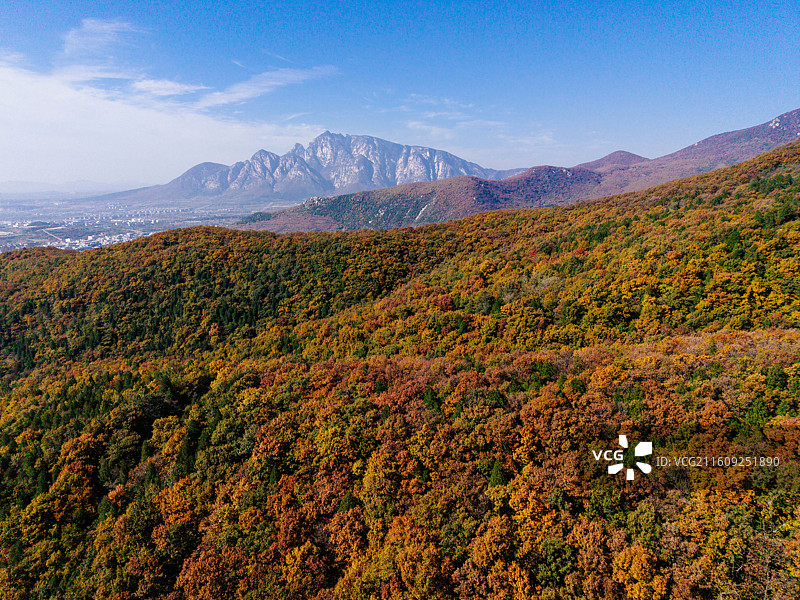 中岳嵩绝美秋色（老君洞、峻极峰）-河南嵩山图片素材