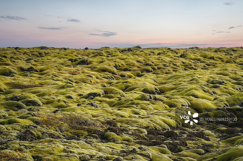 冰岛的苔原图片素材