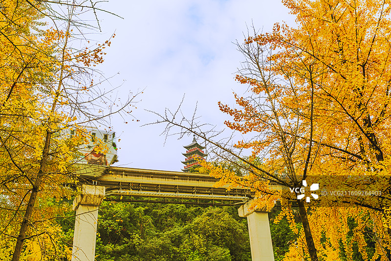 金秋十月的中华美德公园图片素材