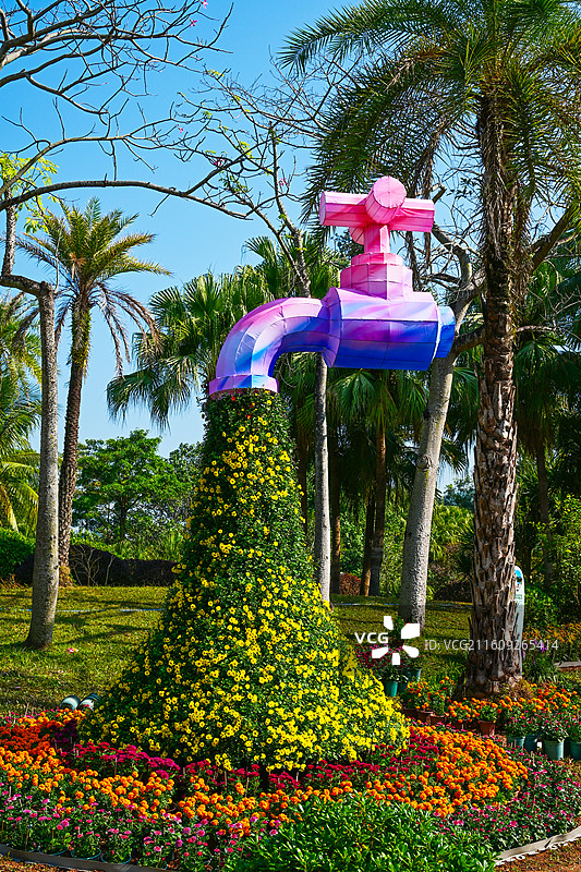 深圳东湖公园2025年菊花展花海景观图片素材