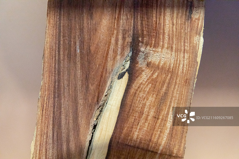 常州博物馆刘国钧捐献红木家具陈列红木原料图片素材