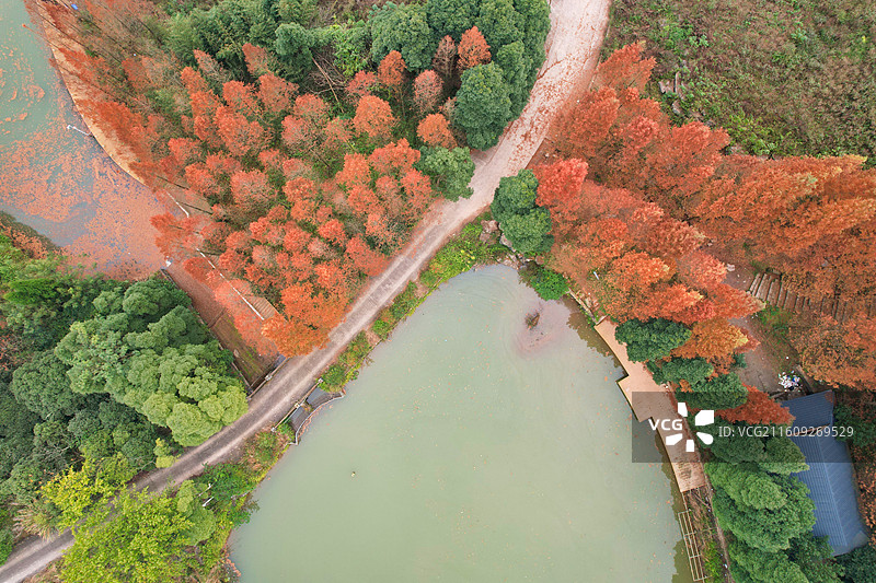 重庆北碚静观素心村花漾栖谷图片素材