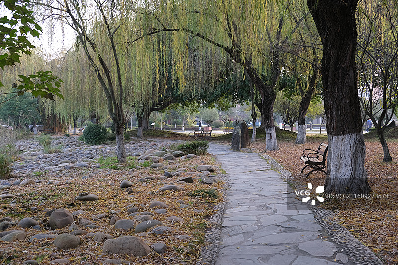 西科大校园花园湖边小树林图片素材