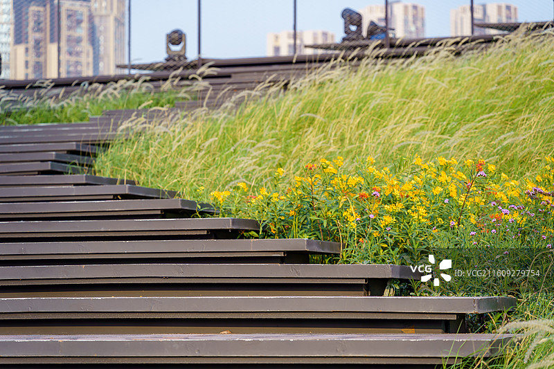 广州船台1914高清图图片素材