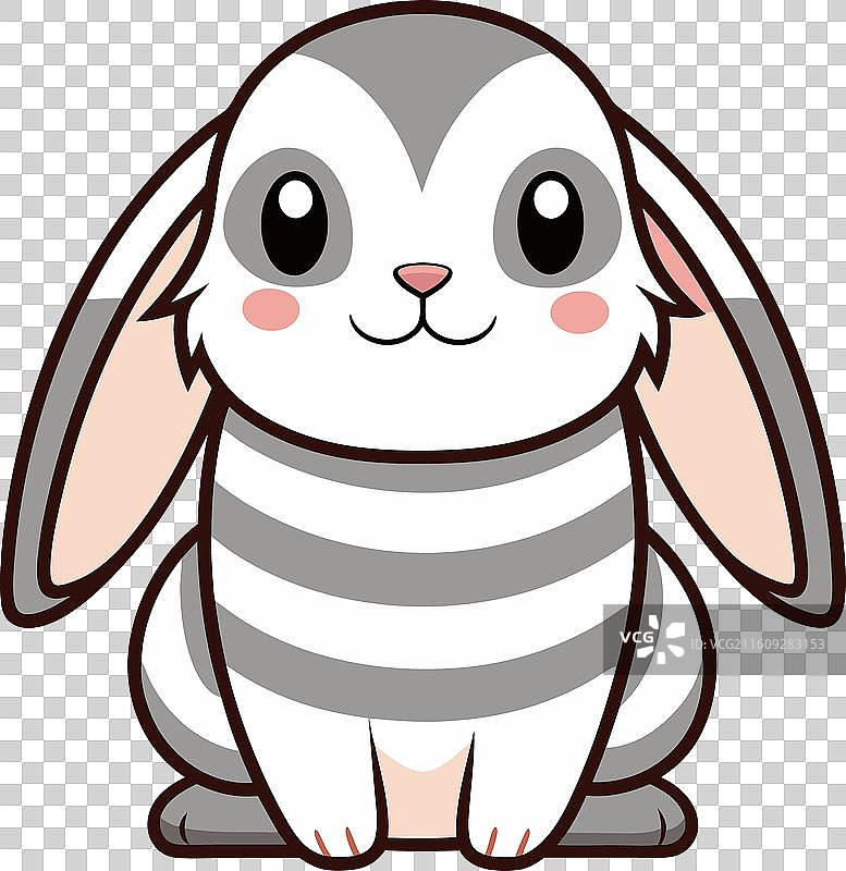 法兰德斯大耳兔 坐在那里 萌萌哒图片素材