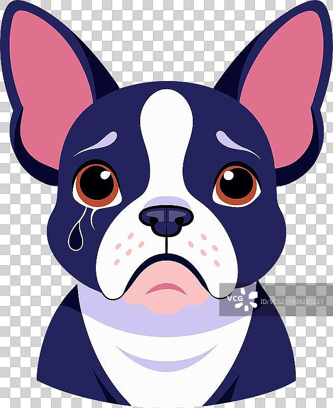 法兰克顿狗哭泣 卡哇伊图片素材