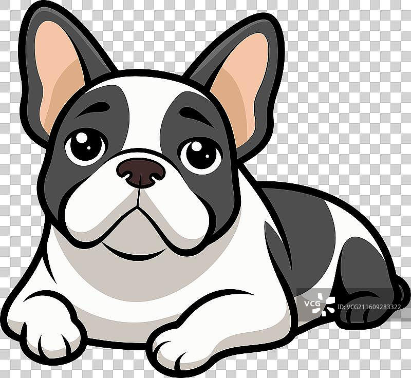 法国斗牛犬躺着，可爱图片素材