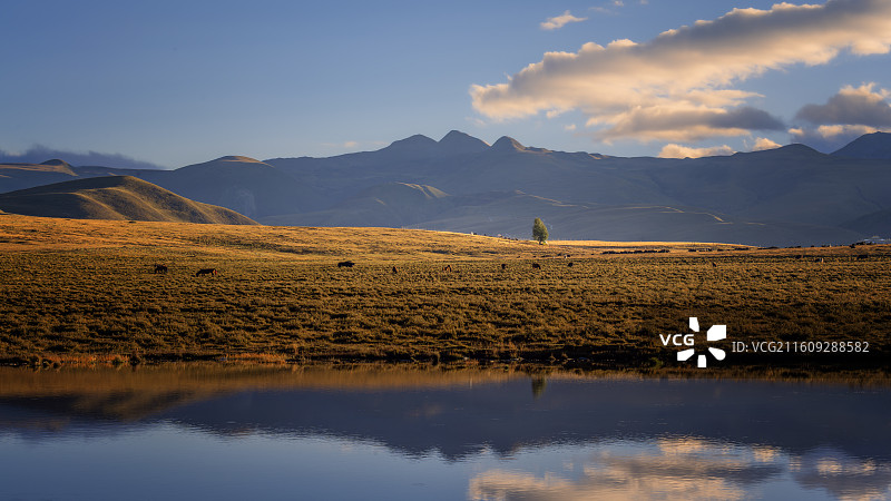 塔公草原图片素材