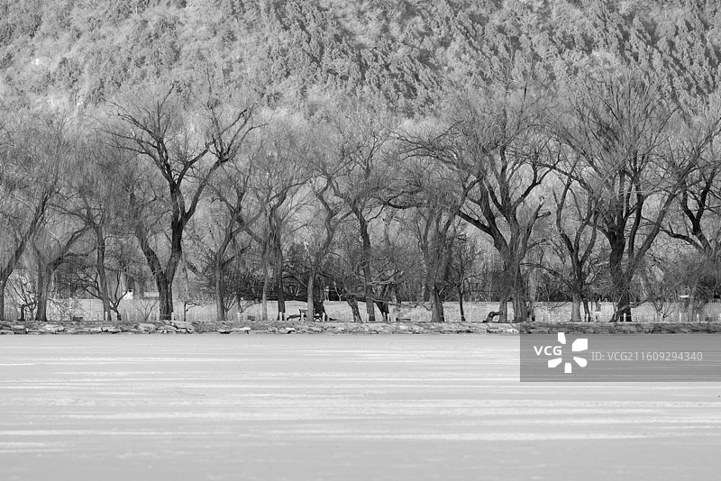 冬季的风景图片素材