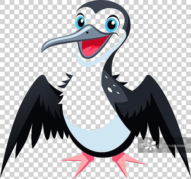 军舰鸟 微笑 可爱图片素材