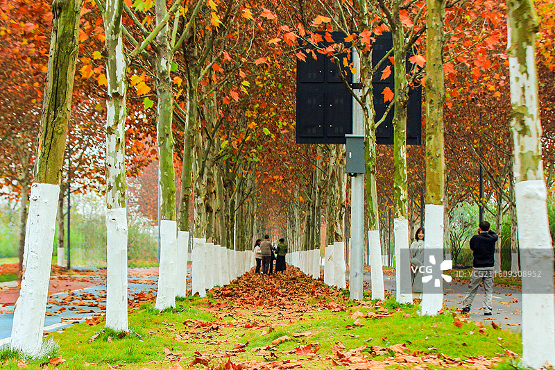 温情满金秋的广阳岛图片素材