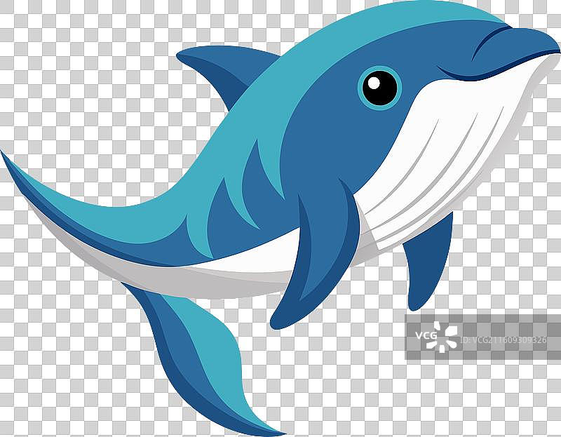 褶鳃鲨鱼，可爱风格图片素材