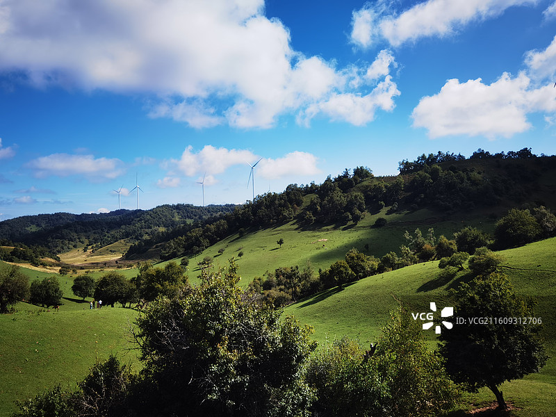 陕西省宝鸡市陇县关山草原关山牧场夏季风光：驼铃谷图片素材
