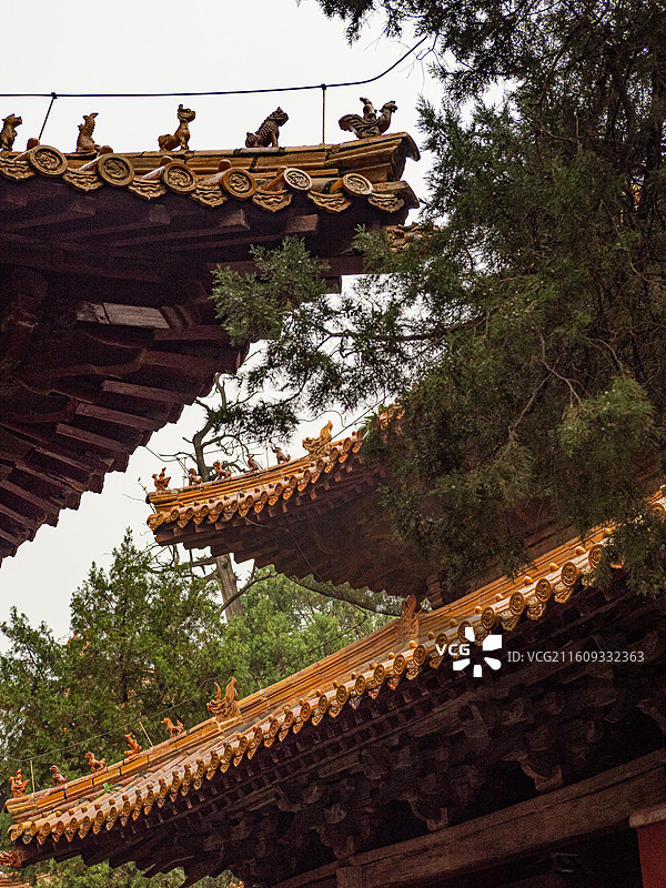 山东曲阜孔庙、孔府图片素材