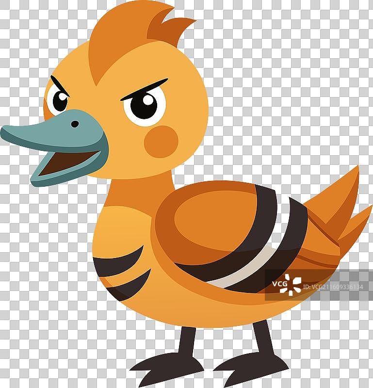 黄嘴鸭愤怒的卡哇伊图片素材