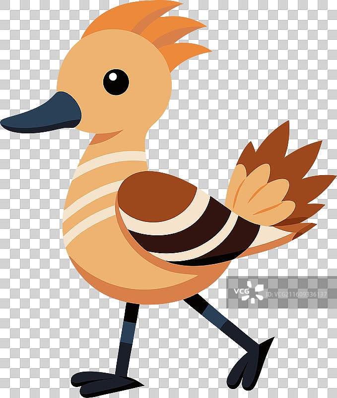 黄嘴鸭可爱地跳舞图片素材