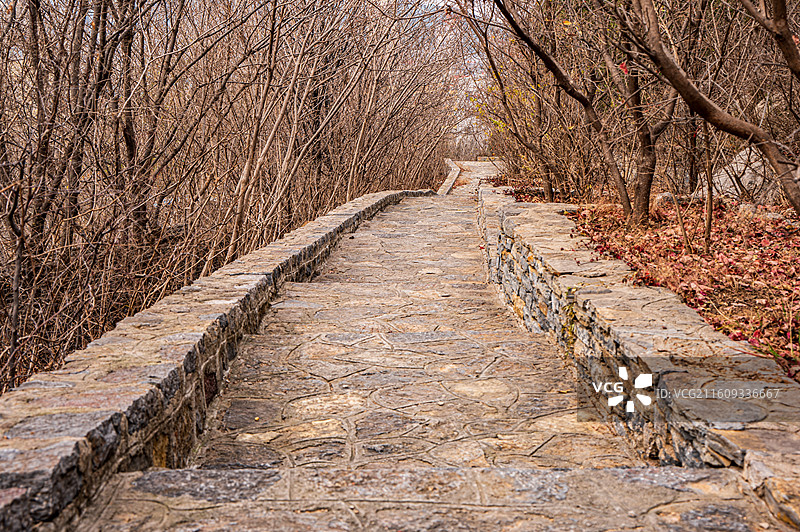 冬日-卧虎山&蝎子山图片素材