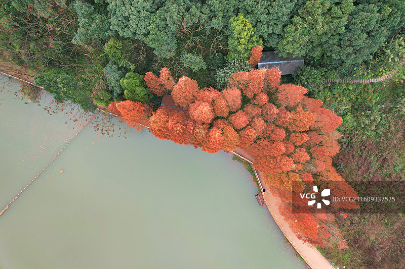 重庆北碚静观素心村花漾栖谷图片素材