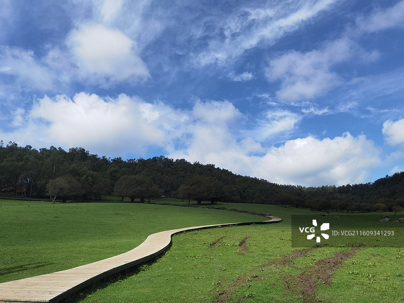 陕西省宝鸡市陇县关山草原关山牧场夏季风光图片素材