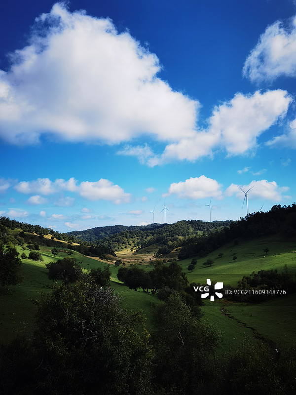 陕西省宝鸡市陇县关山草原关山牧场夏季风光：驼铃谷图片素材