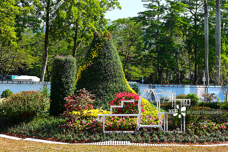深圳东湖公园2025年菊花展花海景观图片素材