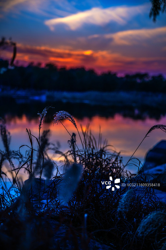 湿地公园晚霞图片素材